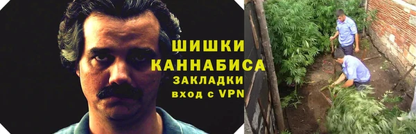 мдма Ладушкин