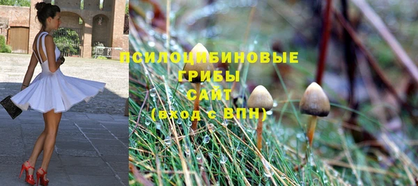 мдпв Лабытнанги