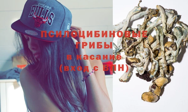 мдпв Лабытнанги