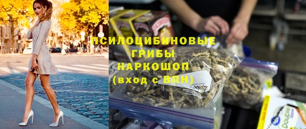 мдпв Лабытнанги
