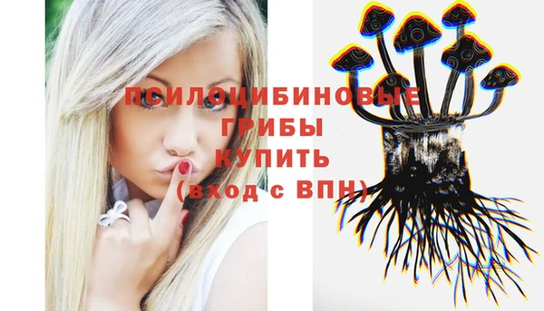 молекула духа Лагань
