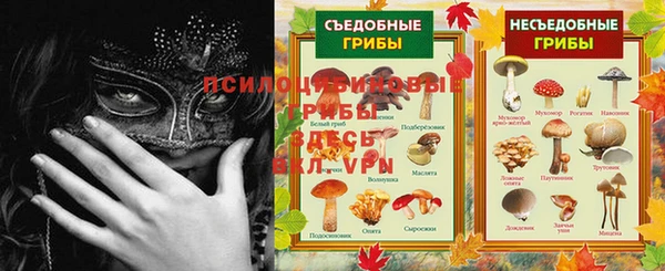 мдпв Лабытнанги