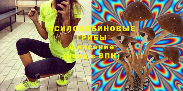 мдпв Лабытнанги