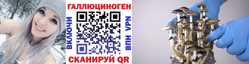 Галлюциногенные грибы прущие грибы  Купить  Аргун 